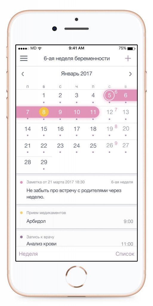 Календарь беременности точностью до дня